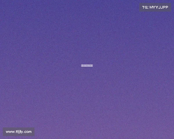 浦江赛事浦江赛车